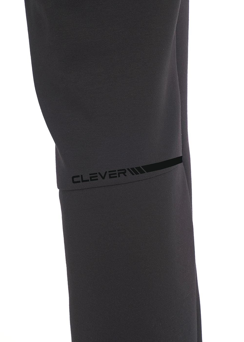 CLE 452417/06сд_п Брюки мужские