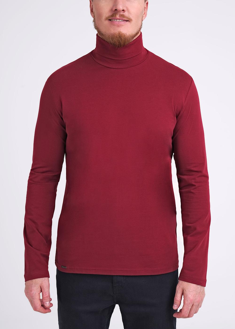 CLE 602188/2гг Водолазка мужская