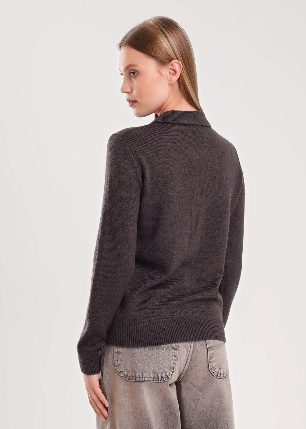 CLE 154583/190апш _1 Джемпер женский