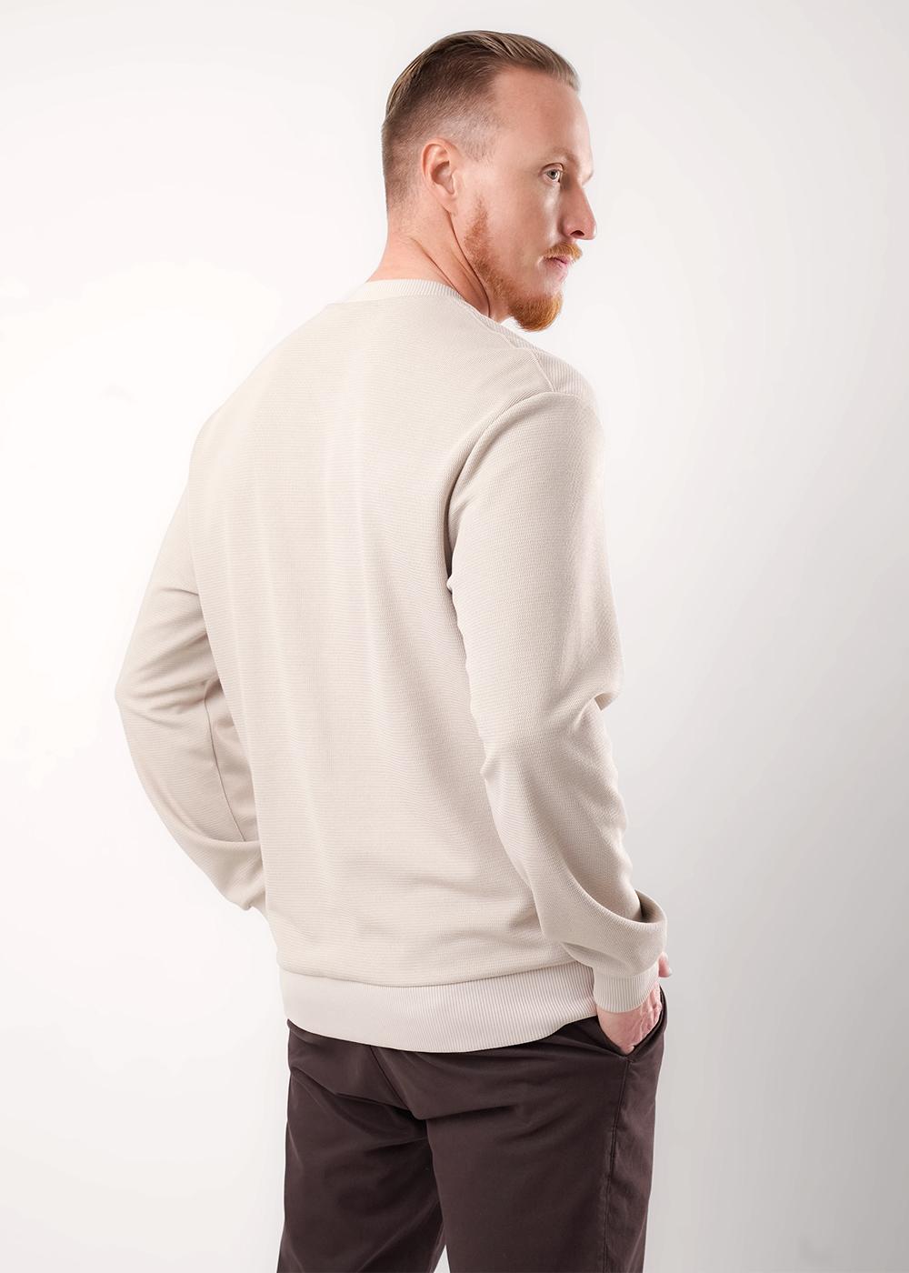 CLE 452621/09тдф Джемпер мужской