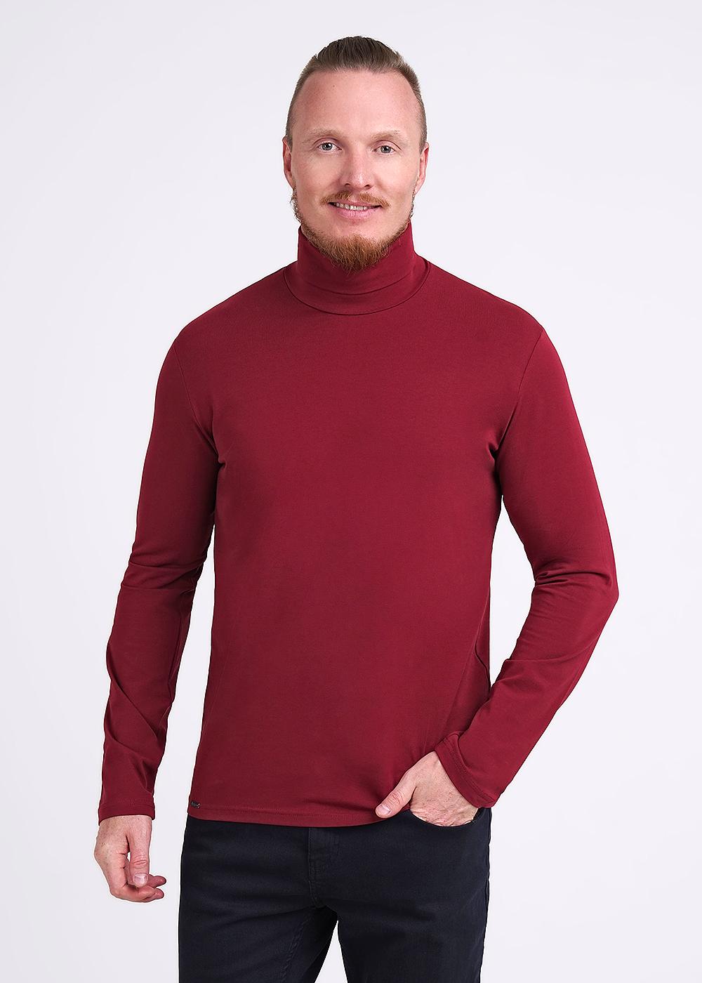 CLE 602188/2гг Водолазка мужская