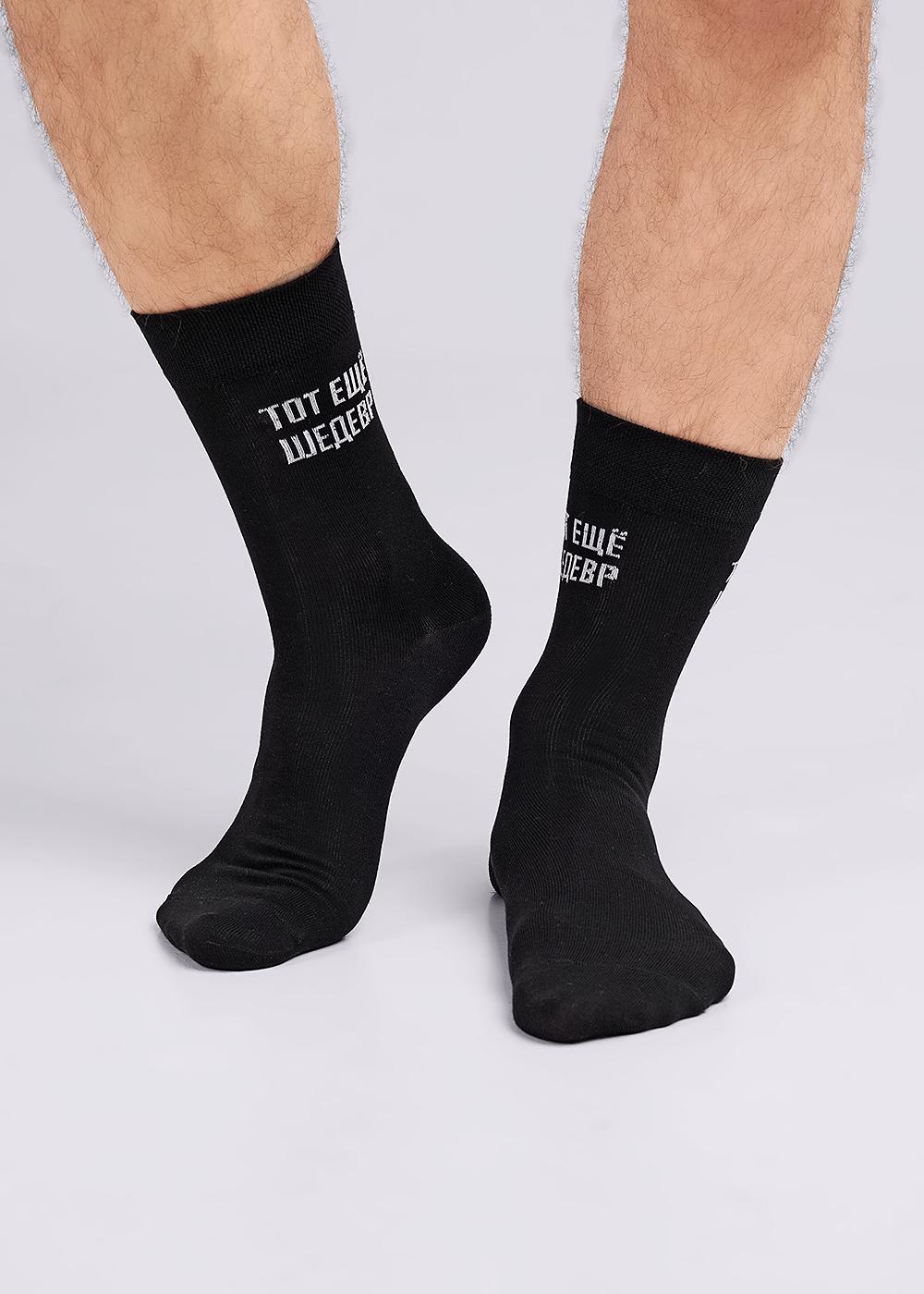 ЭЙС А919 Носки мужские