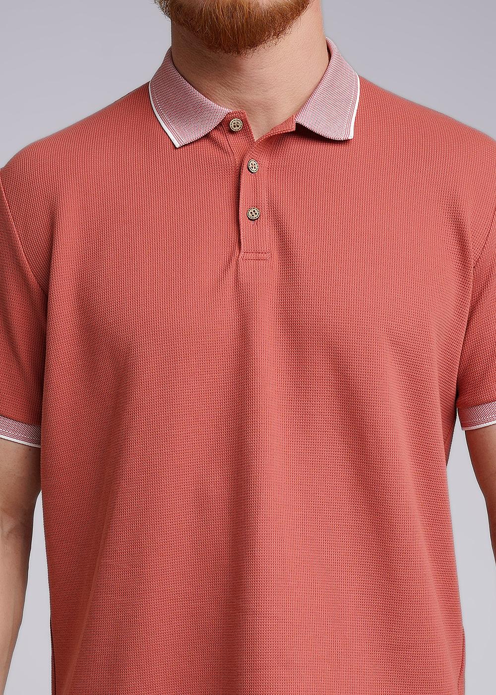 CLE 542185/03шаф Поло мужское