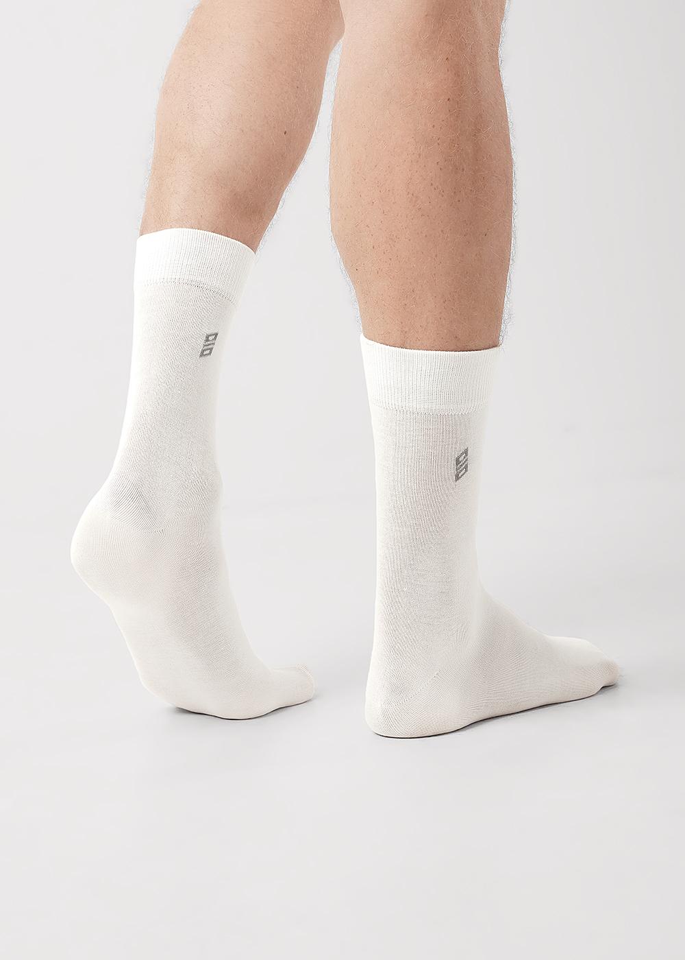 ЭЙС А13Лш Носки мужские