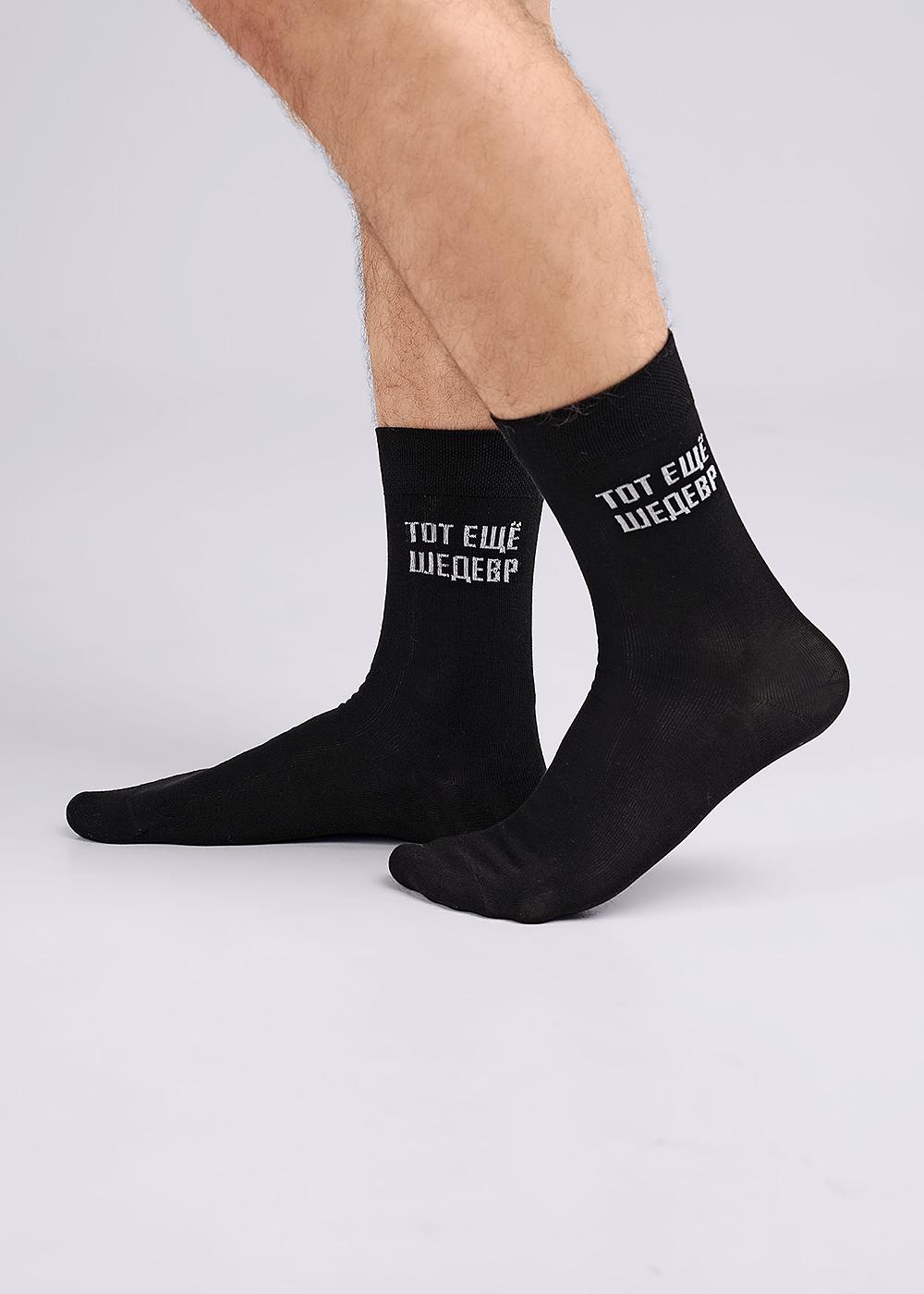 ЭЙС А919 Носки мужские