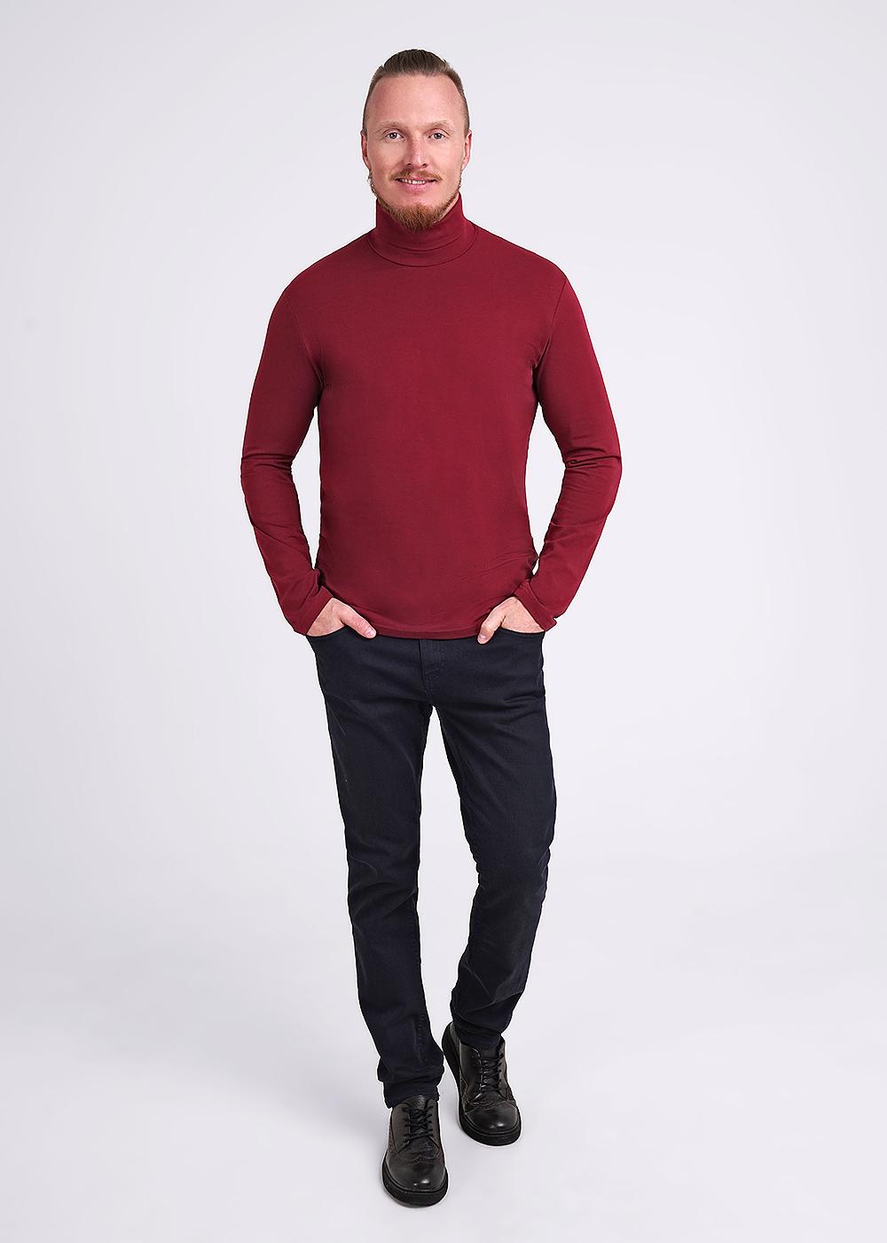 CLE 602188/2гг Водолазка мужская