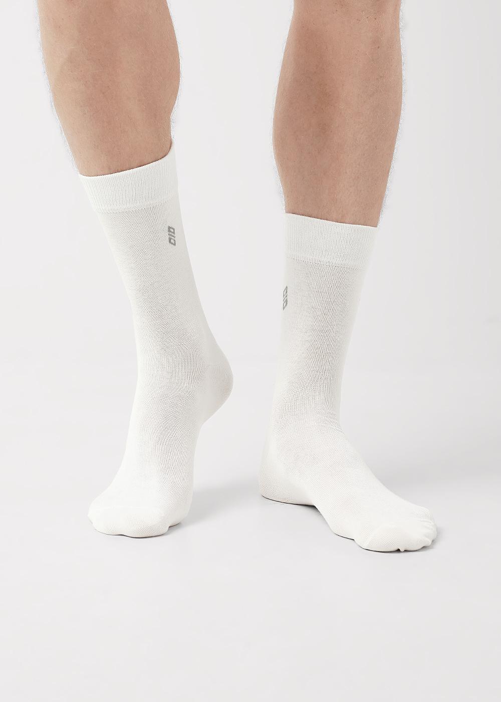 ЭЙС А13Лш Носки мужские