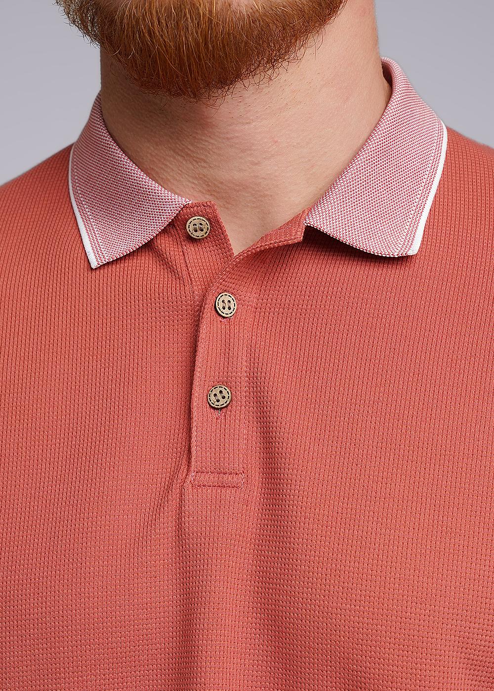 CLE 542185/03шаф Поло мужское