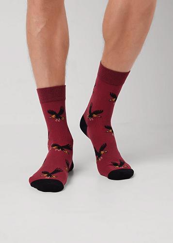 CLE К6600 Носки мужские