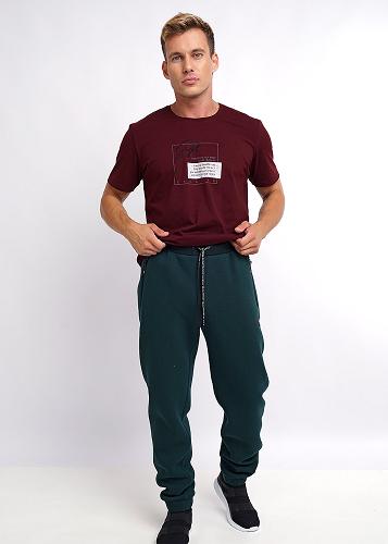 CLE Брюки мужские 422111/83фф