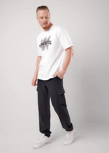 CLE 452612/09т Брюки мужские