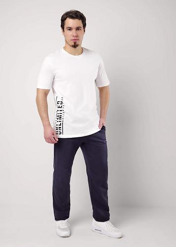 ЭЙС 600946а Брюки мужские