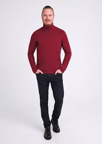 CLE 602188/2гг Водолазка мужская