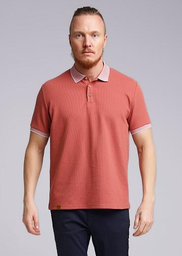 CLE 542185/03шаф Поло мужское